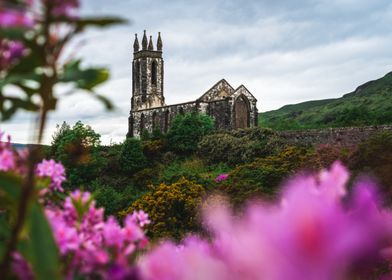 Ruined Church in Bloom