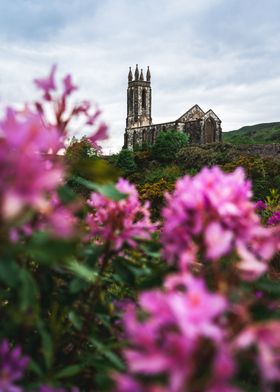 Church Ruins Through Flowers