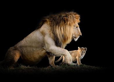 Lion and Cub on dark