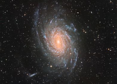 NGC 6744 - Spiral Galaxy in Space