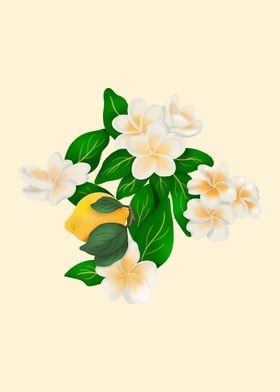 Lemon & Plumeria Flowers