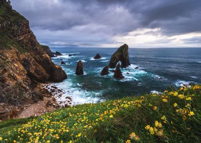 Sea Stacks and Wildflowers