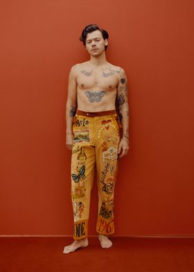 Harry Styles-preview-0