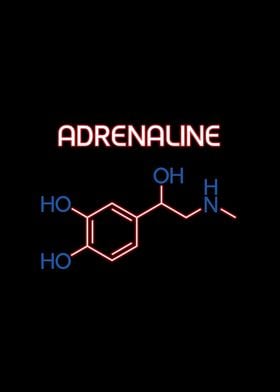 Adrenaline Hormone