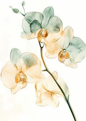 Orchid Watercolor Art