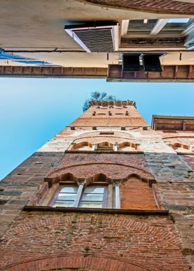 Lucca Guinigi Tower Tall Stone Tower in Italian City