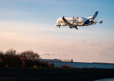 Airbus Beluga XL Landing in the sunset