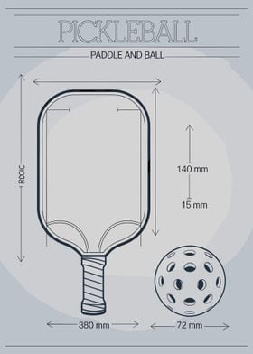 Pickleball Paddle and Ball