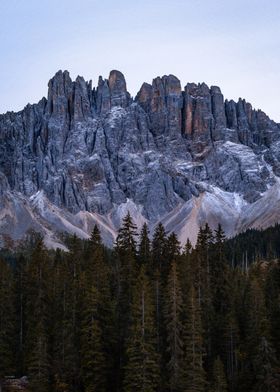 Mountain Range with Forest