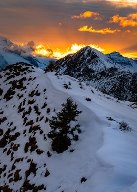 Snowy Mountain Sunset