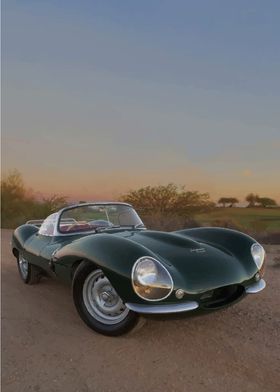 Jaguar D-Type Roadster