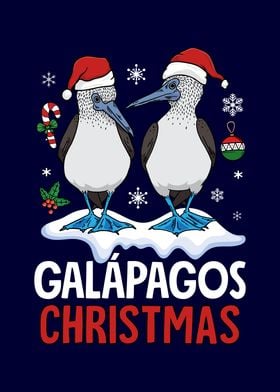 Galapagos Christmas Birds