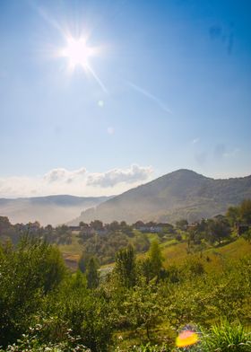 Sunny Mountain Landscape