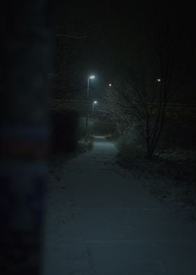 Snowy Night Path