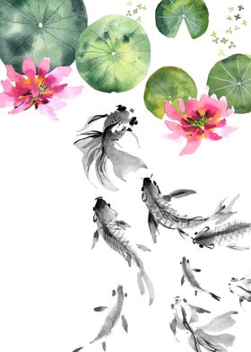 Koi Fish and Lotus