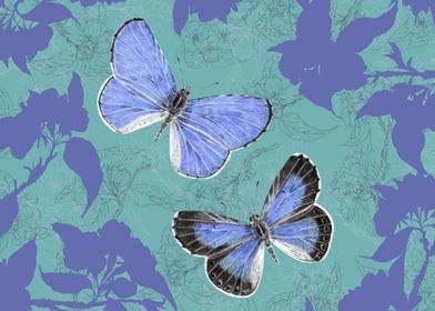 Holly Blue Butterflies on Floral Background