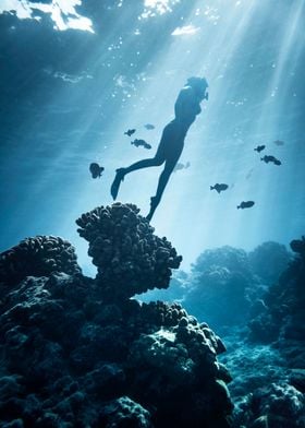 Diving in Deep Ocean