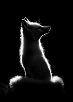 Animal White Fox Poster Art