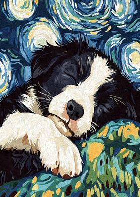 Sleeping Border Collie Starry Night