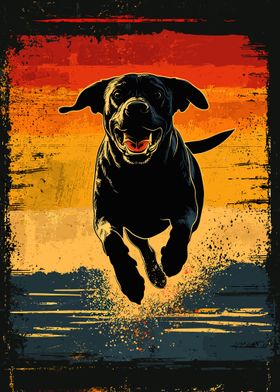 Black Lab Running Sunset