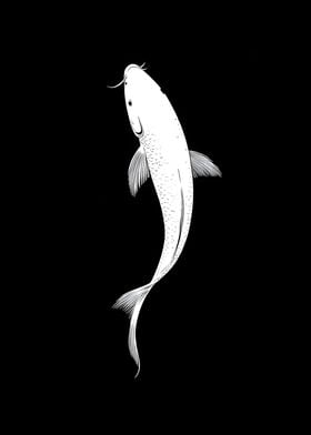 Animal White Fish