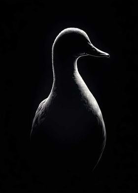 Animal White Duck Art