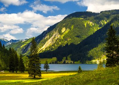 Mountain Green Lake Landscape