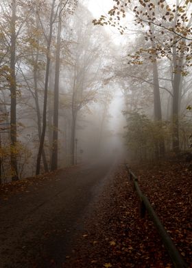 Road to Silent Hill