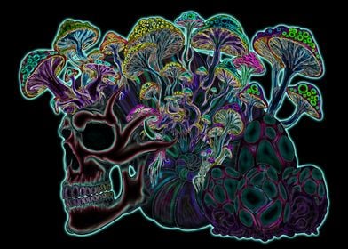 Skull & Mushrooms