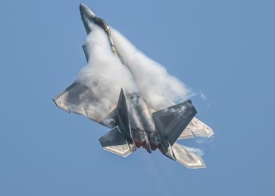 F-22 Raptor Jet in Flight