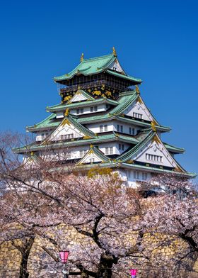 Cherry Osaka Castle