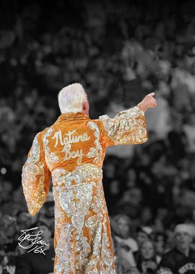 Ric Flair