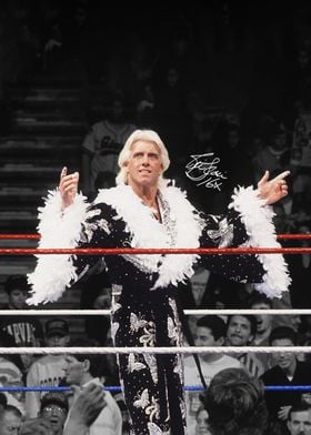 Ric Flair Wrestling Poster