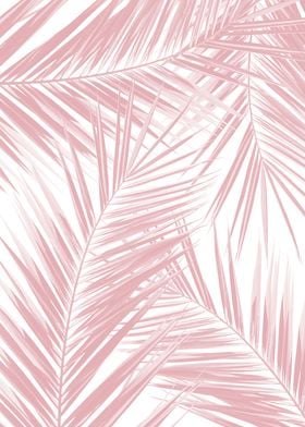 Palm Leaves Pattern Dream 5