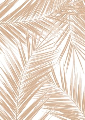 Palm Leaves Pattern Dream 6