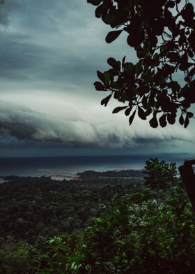 Stormy tropical rainforest landscape