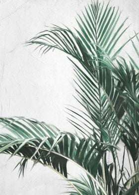 Palm Leaf Painting