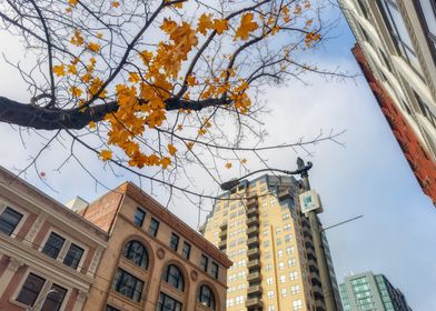 Autumn Cityscape