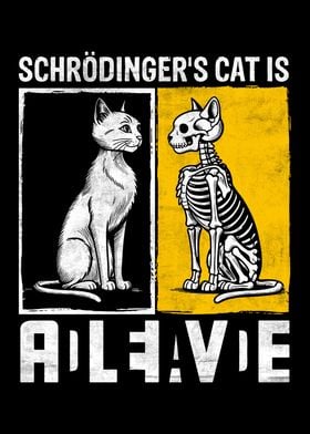 Schrödinger's Cat Paradox