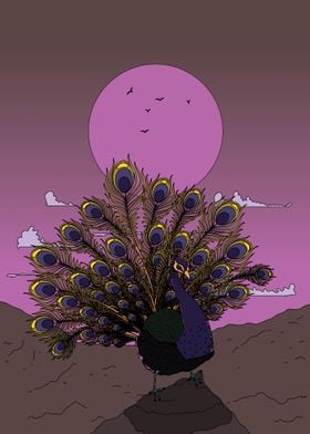 Peacock Under a Pink Moon