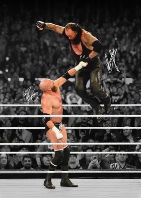 The Undertaker vs. Triple H