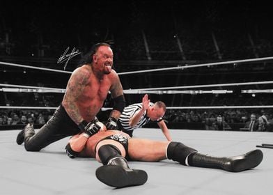 The Undertaker vs. Triple H