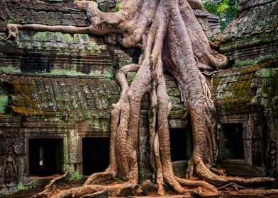 Ancient Temple Ruins In Cambodia