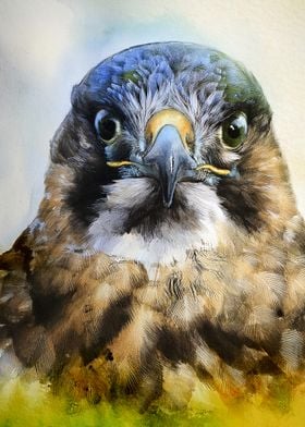 Bird Watercolor Portrait