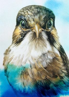 Bird Portrait watercolor painting