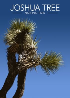 Joshua Tree National Park Stylised