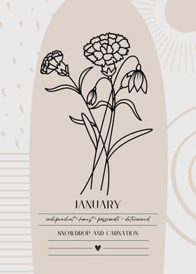 January Birth Flower Snowdrop Carnation