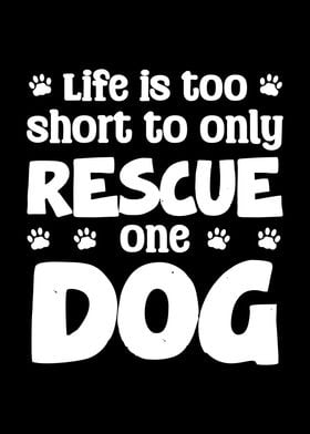 Rescue One Dog