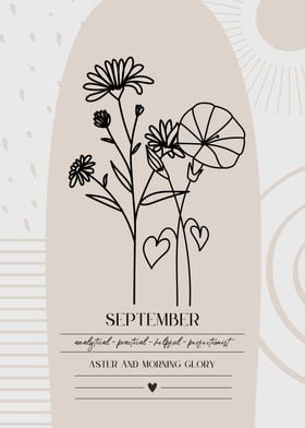 September Birth Flower Aster Morning Glory Print