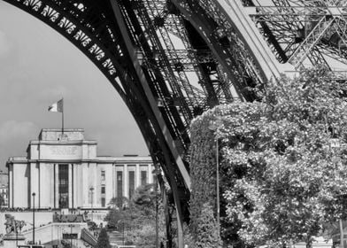 Eiffel Tower View